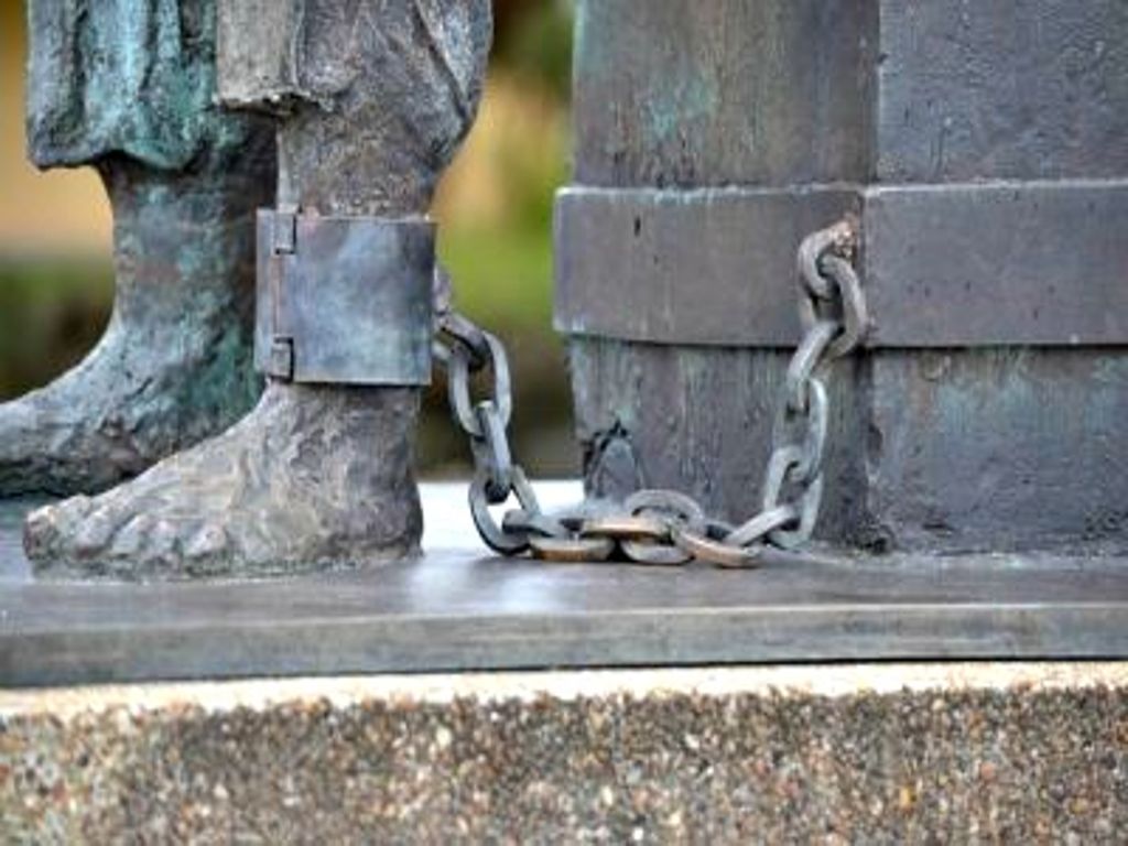 Scaglia Innocente. Nessuno Si Scuserà