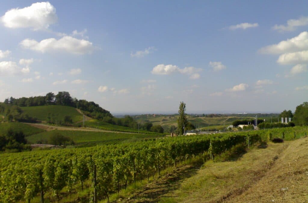 Espropriazione Per Pubblica Utilità