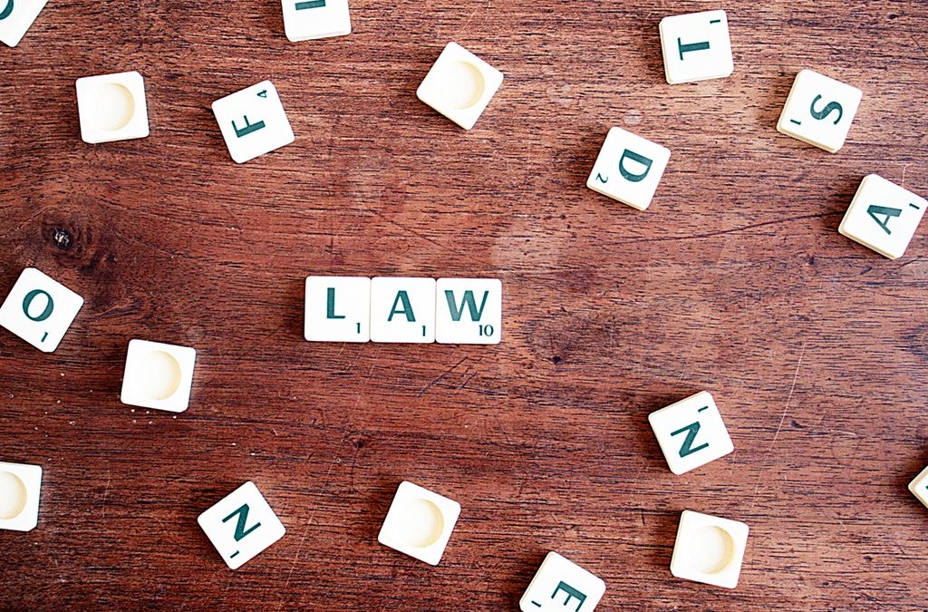 La Cosa Giudicata Nel Procedimento Civile