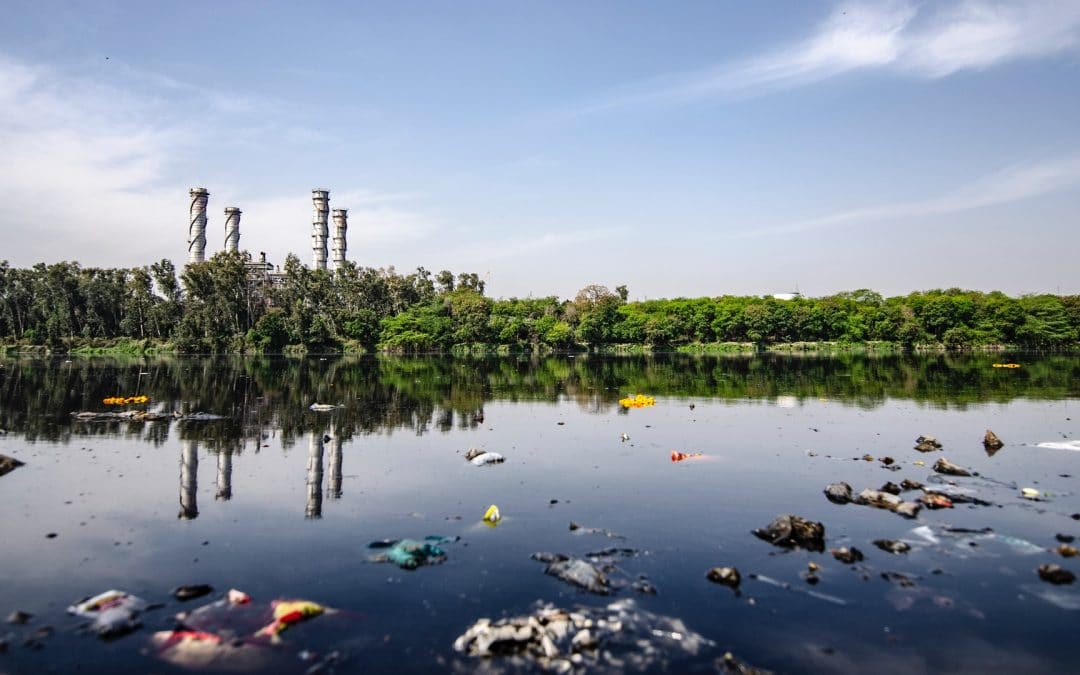 I Delitti Contro L’Ambiente